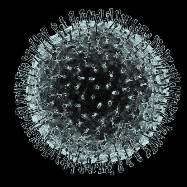 Human coronavirus